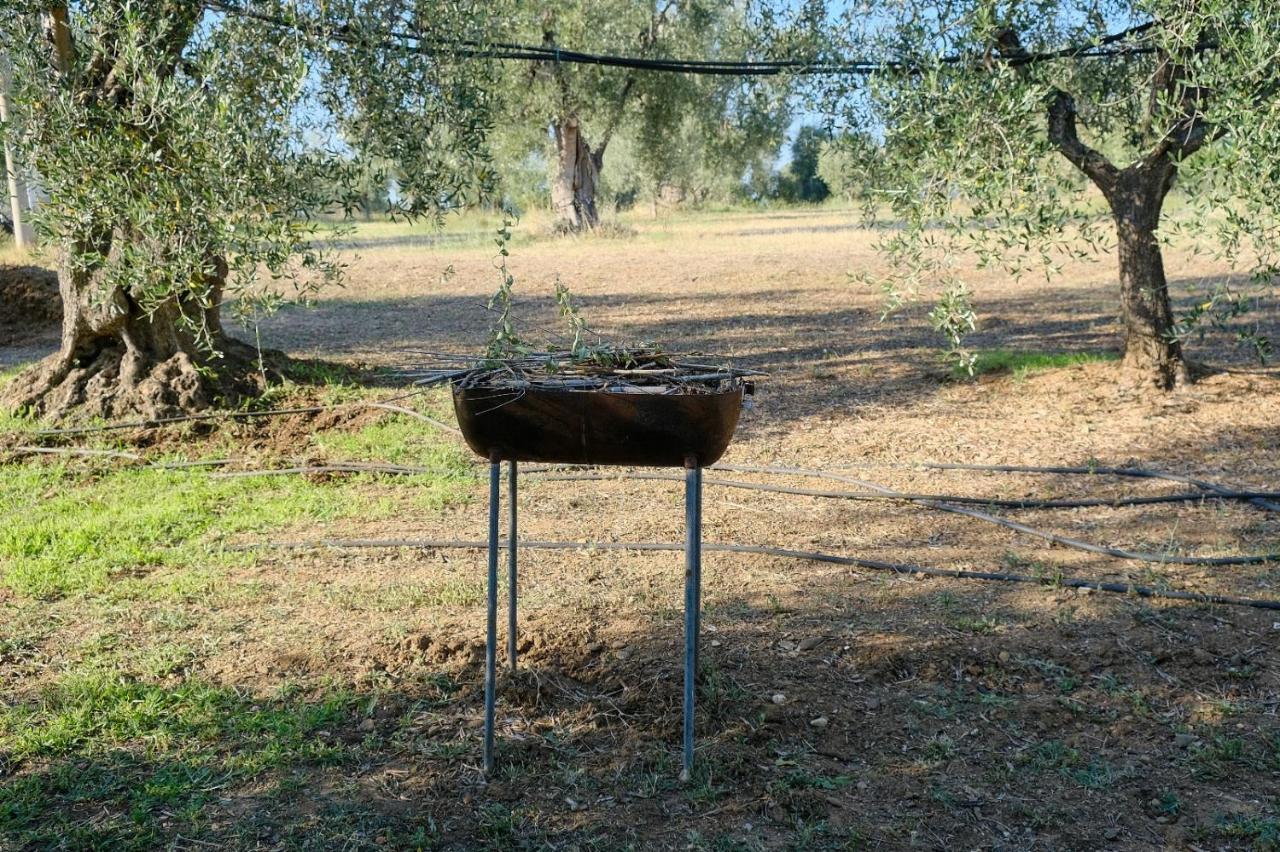 La Villa Di Campagna Pisticci Exteriör bild